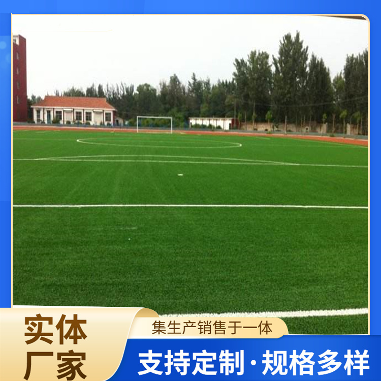 盐城市硅PU人造草坪 - 厂家